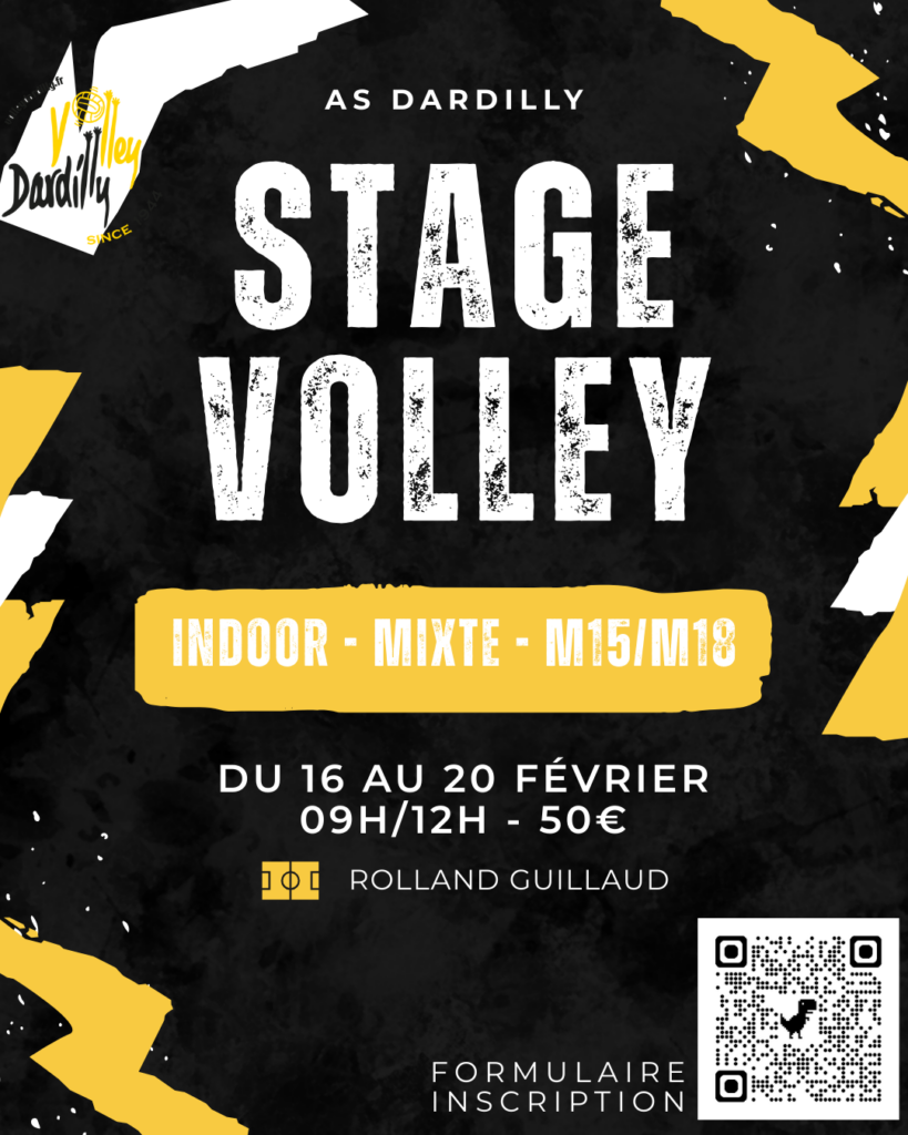 AS Dardilly volley stage Fevrier 2026