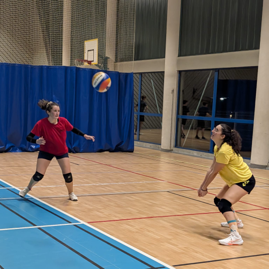 AS Dardilly Beach Indoor tournoi