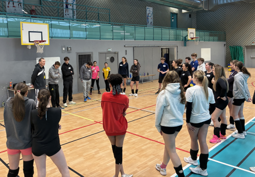 as dardilly volley stage fevrier