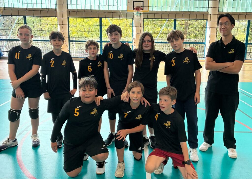 Dardilly volley M13